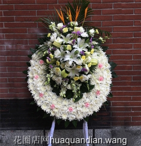 ߺ-õ壬ٺϣջ,ܰ,Ȱͼƣ񣺸ԼΪ1.6<Ȧ>