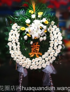 ߷-õ壬װٺϣľҶ걳Ҷװη,߼ܻȦ񣺸Լ1.6