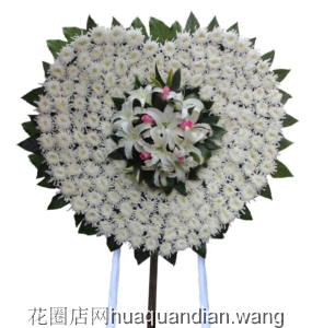 ѩƬ-׾աٺ,õ׺̲Ĵ䣬²廨񣺸ԼΪ1.6<Ȧ>