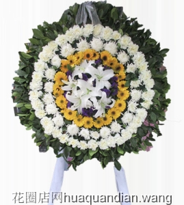 Ǵȶ-׾աٺϣ̲Ĵ䣬²廨񣺸ԼΪ1.5<Ȧ>
